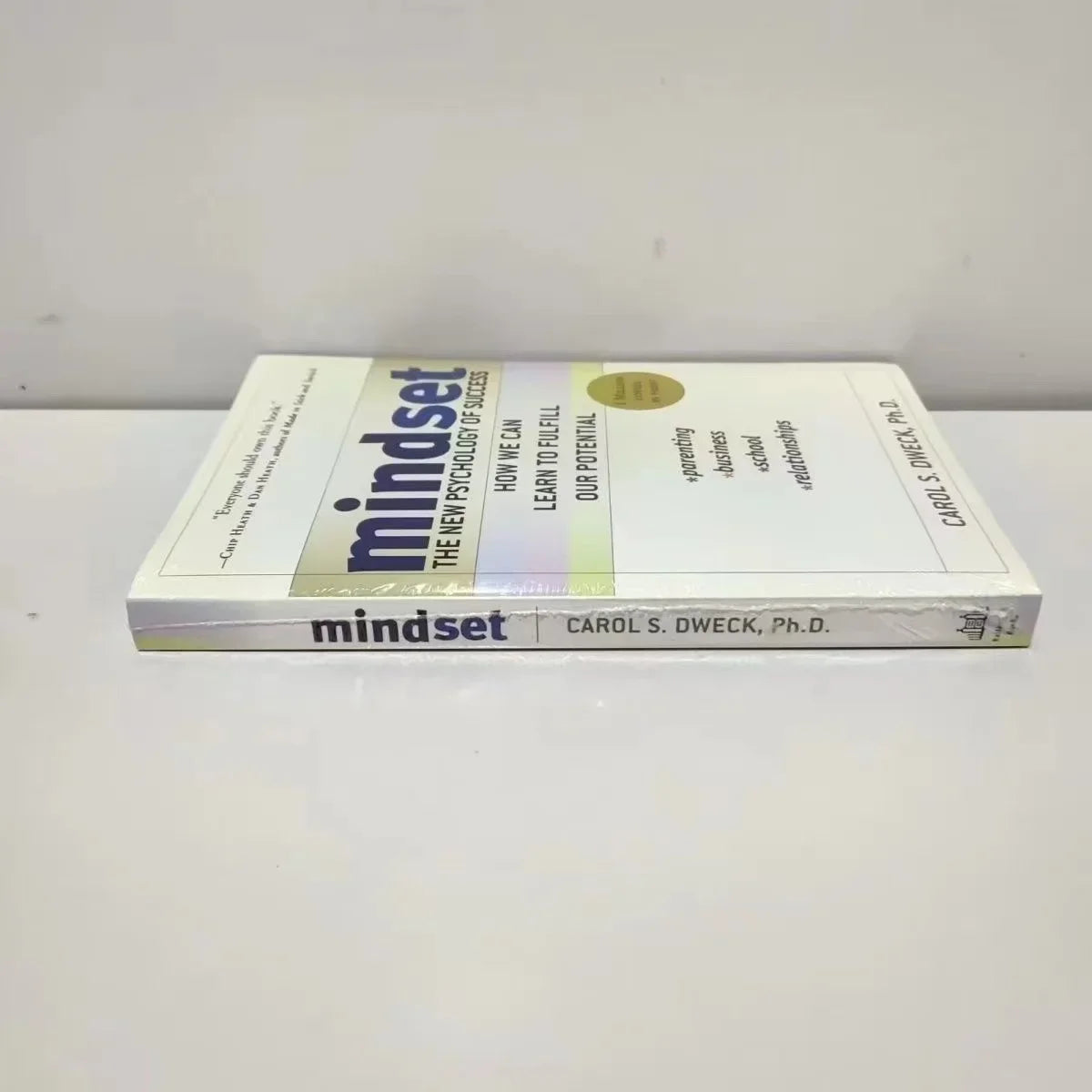 Mindset The New Psychology Of Success English Book by Carol S. Dweck Foreign Literature Inspirational Book