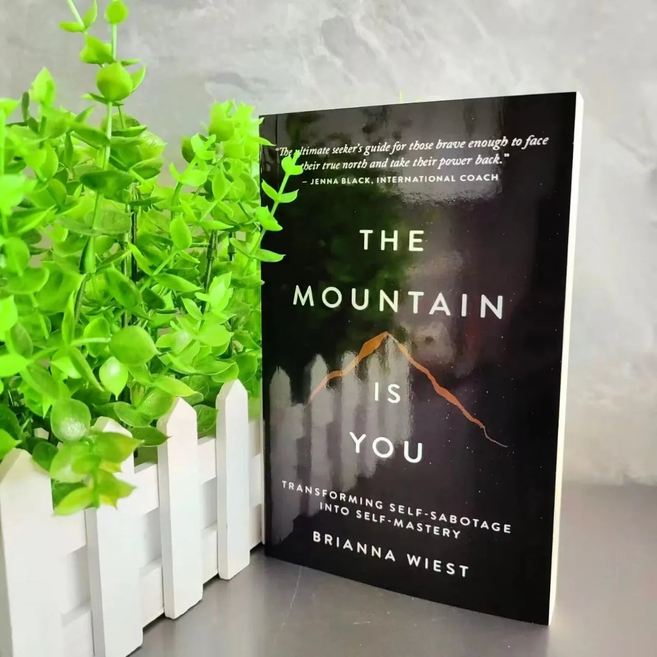 The Mountain Is You: Transforming Self-Sabotage Into Self-mastery English Books